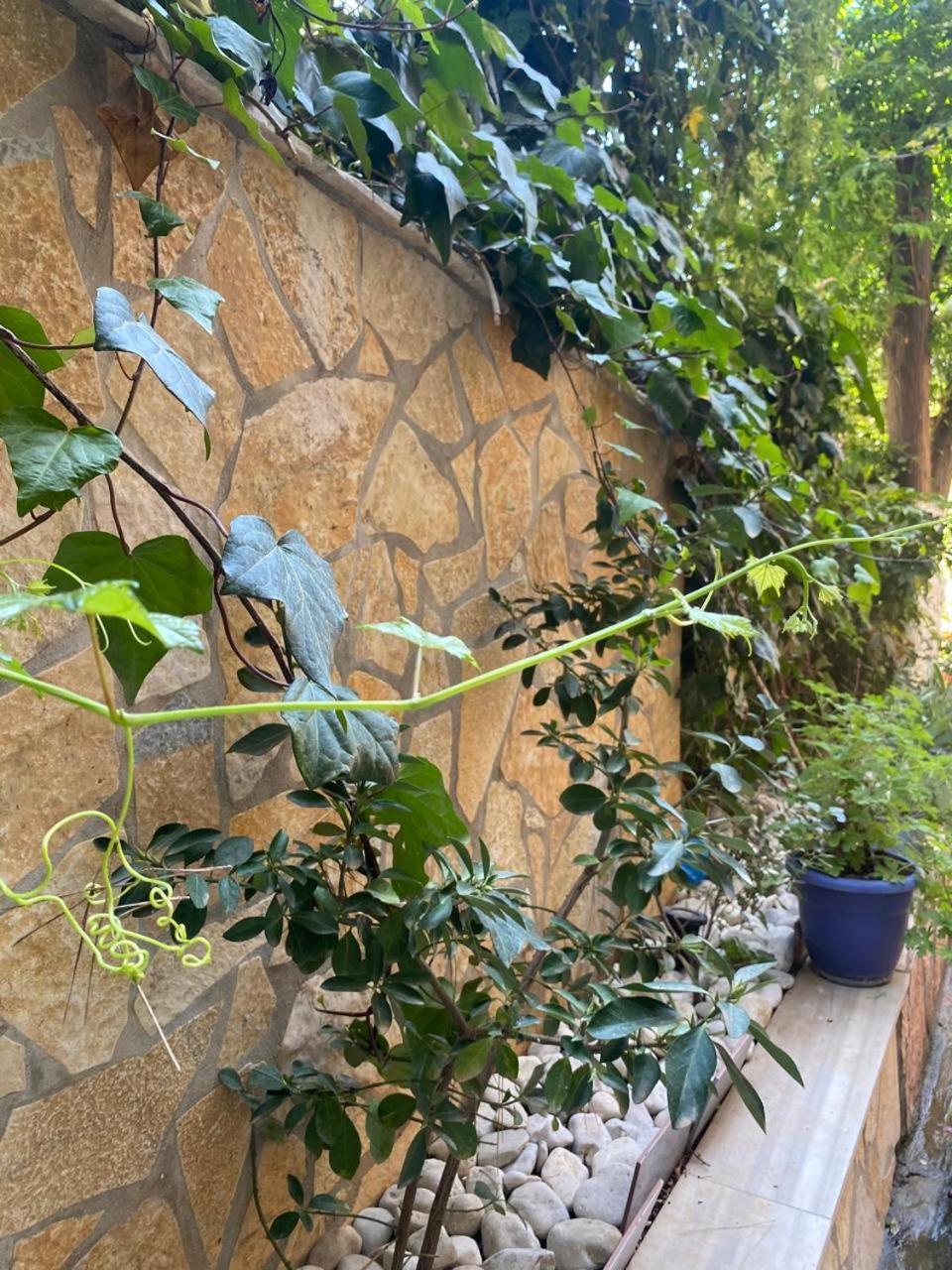 Olive Tree Apartment Sarande Exterior photo